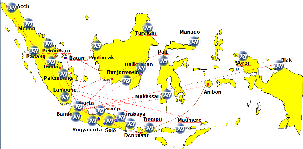 Domestic Network